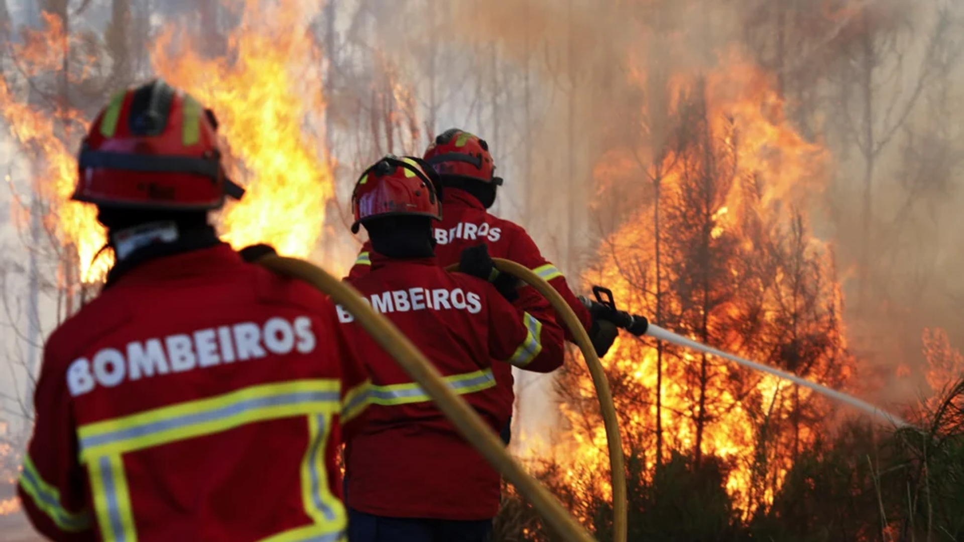 Município cede verba aos Bombeiros de Alcácer do Sal para apoio a combate a incêndios floresta...